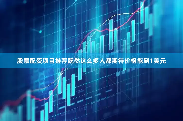 股票配资项目推荐既然这么多人都期待价格能到1美元